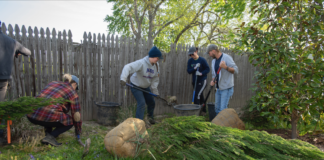Several people working together to plant trees.